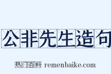 公非先生造句是什么意思的图片